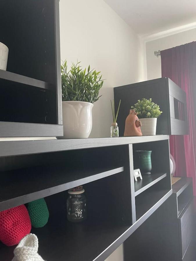 Studio Viva - Cosy Flat In Budapest - Free Parking Exterior foto