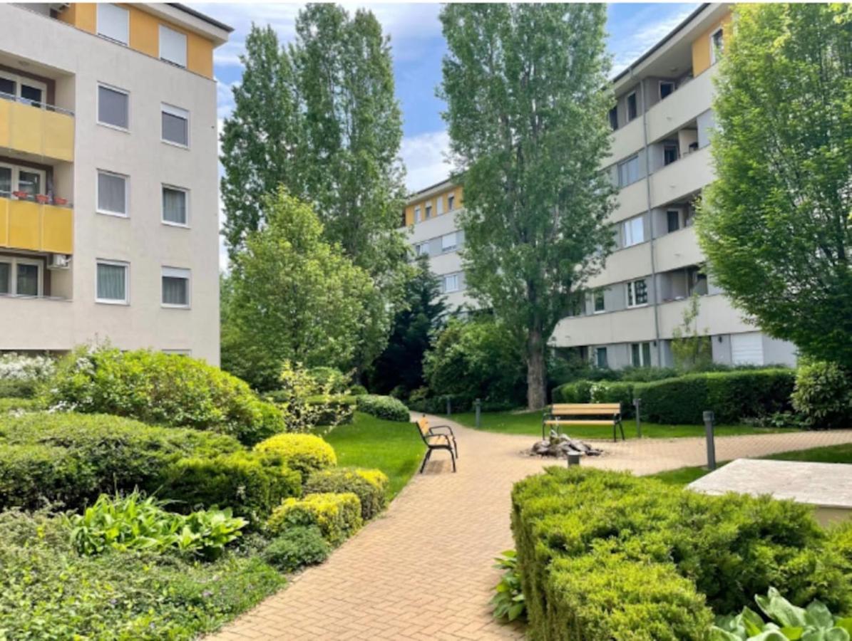 Studio Viva - Cosy Flat In Budapest - Free Parking Exterior foto