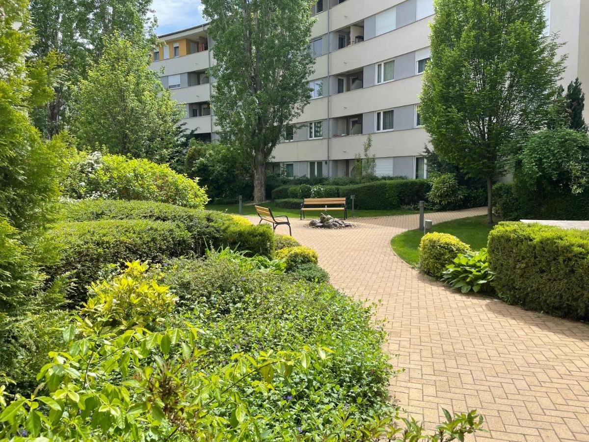 Studio Viva - Cosy Flat In Budapest - Free Parking Exterior foto