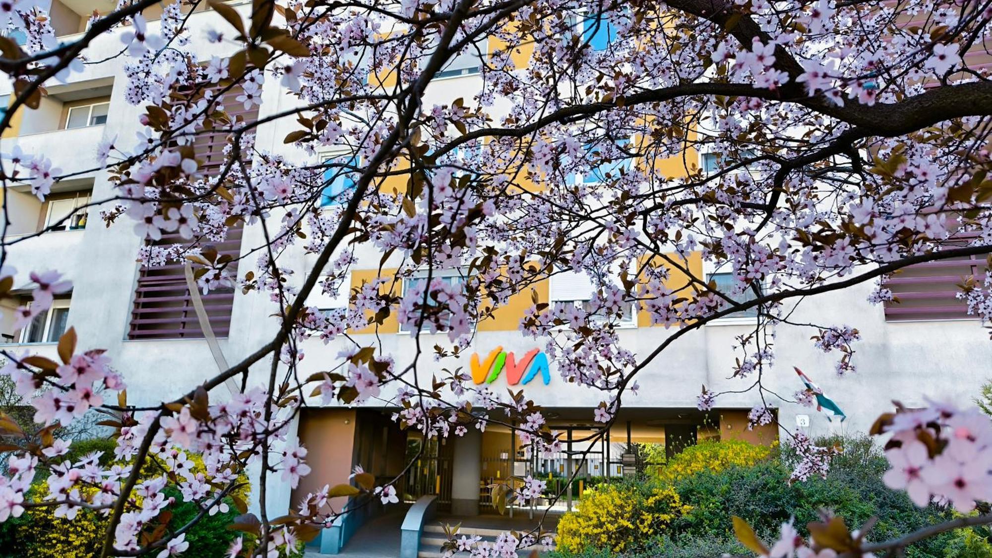 Studio Viva - Cosy Flat In Budapest - Free Parking Exterior foto