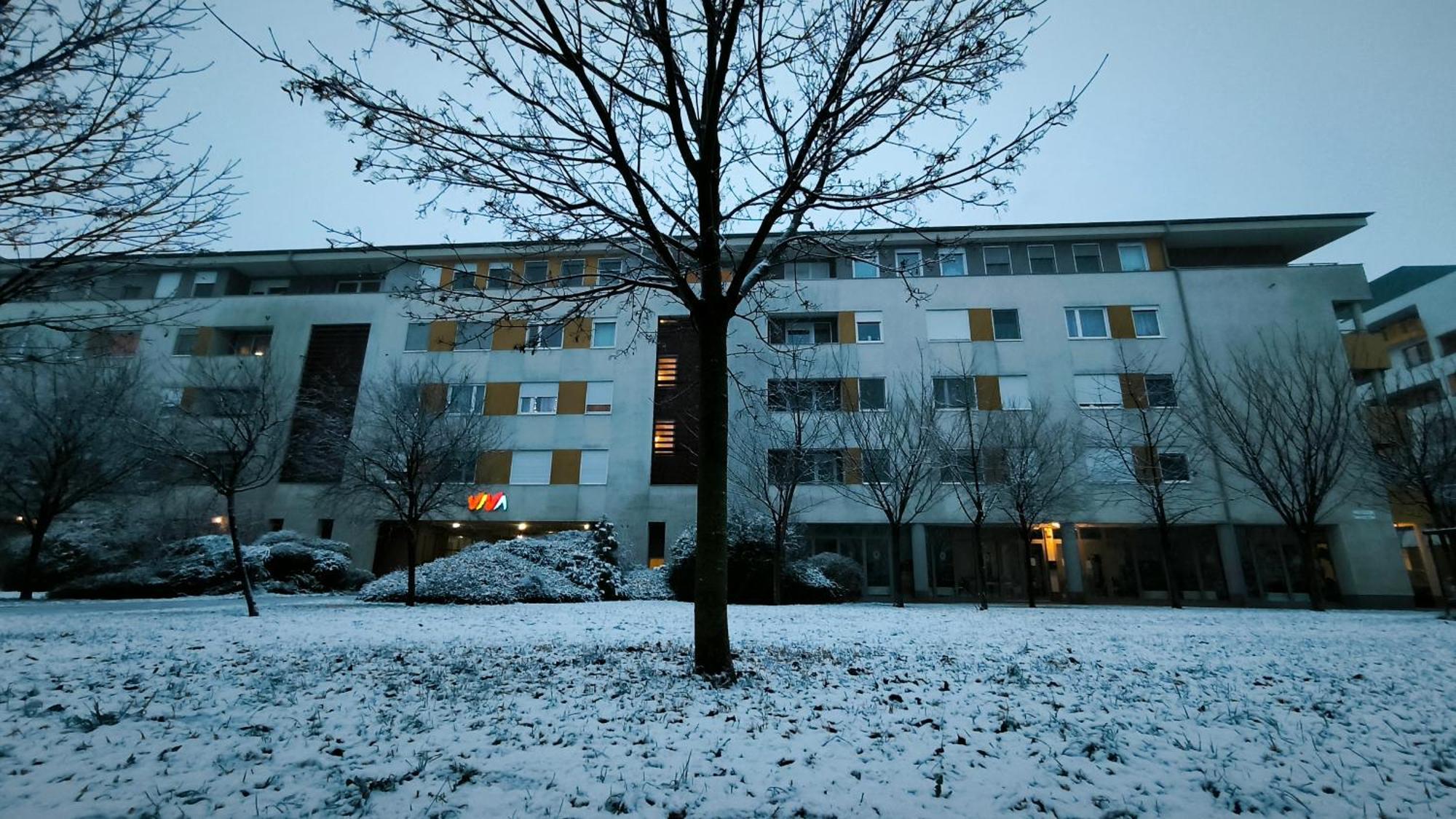 Studio Viva - Cosy Flat In Budapest - Free Parking Exterior foto